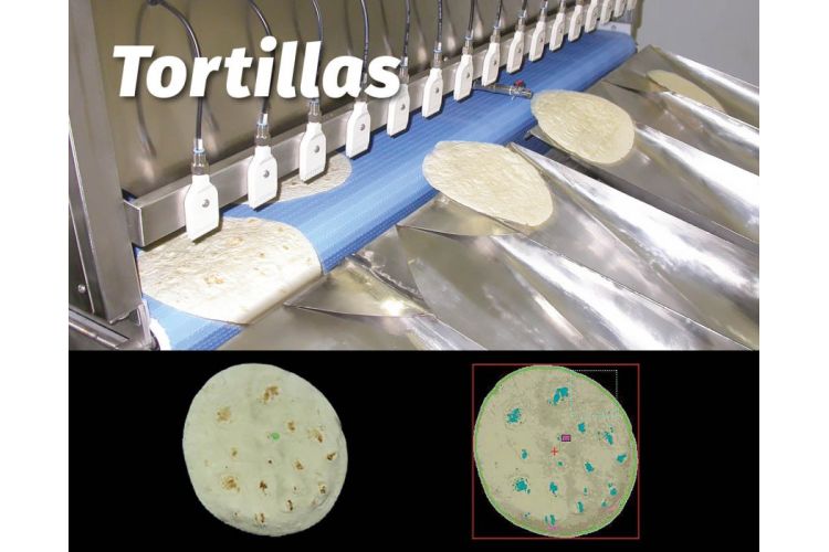 TORTILLA, FLATBREAD